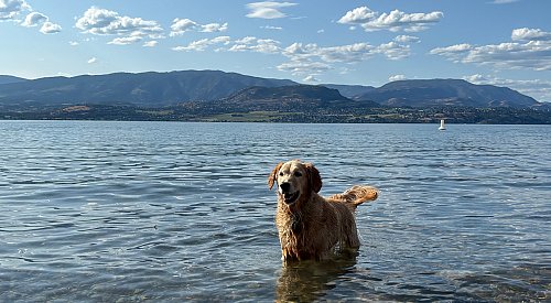 Kelowna weather: Sunshine all day, temps pushing 30°C